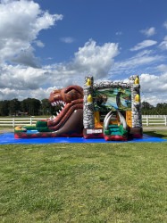 IMG 1095 1684289559 T-Rex bounce house with double slide wet or dry