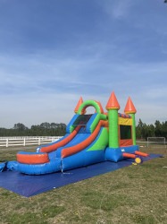 CASTLE BOUNCE HOUSE COMBO WET OR DRY