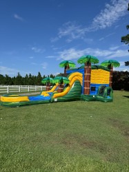 Cali Palms Bounce House Slide Combo (wet or dry)